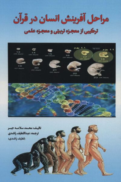 مراحل آفرينش انسان در قرآن (تركيبي از معجزه تربيتي و معجزه علمي)