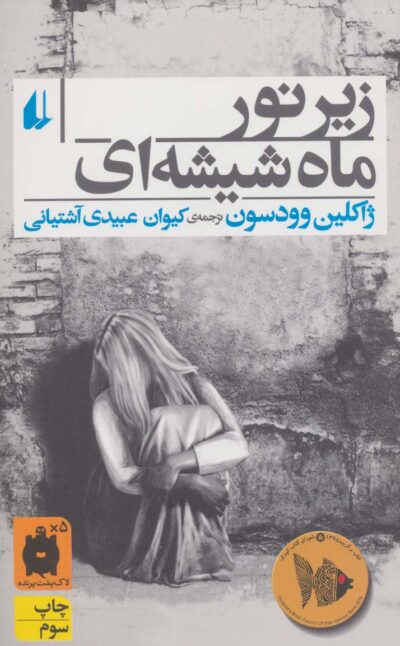 زير نور ماه شيشه اي (رمان جوان 1)