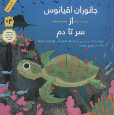 جانوران اقيانوس از سر تا دم (گلاسه)