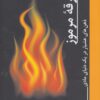 بارقه مرموز (ذهن هاي هشيار در يك دنياي مادي)